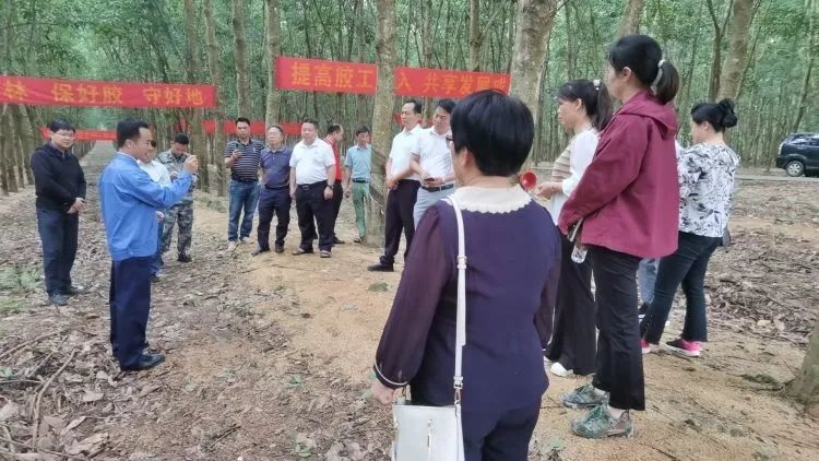 天下割胶冠军张健给各单位学员做标准化胶园建设及割胶手艺的履历先容。。。。。。.jpg