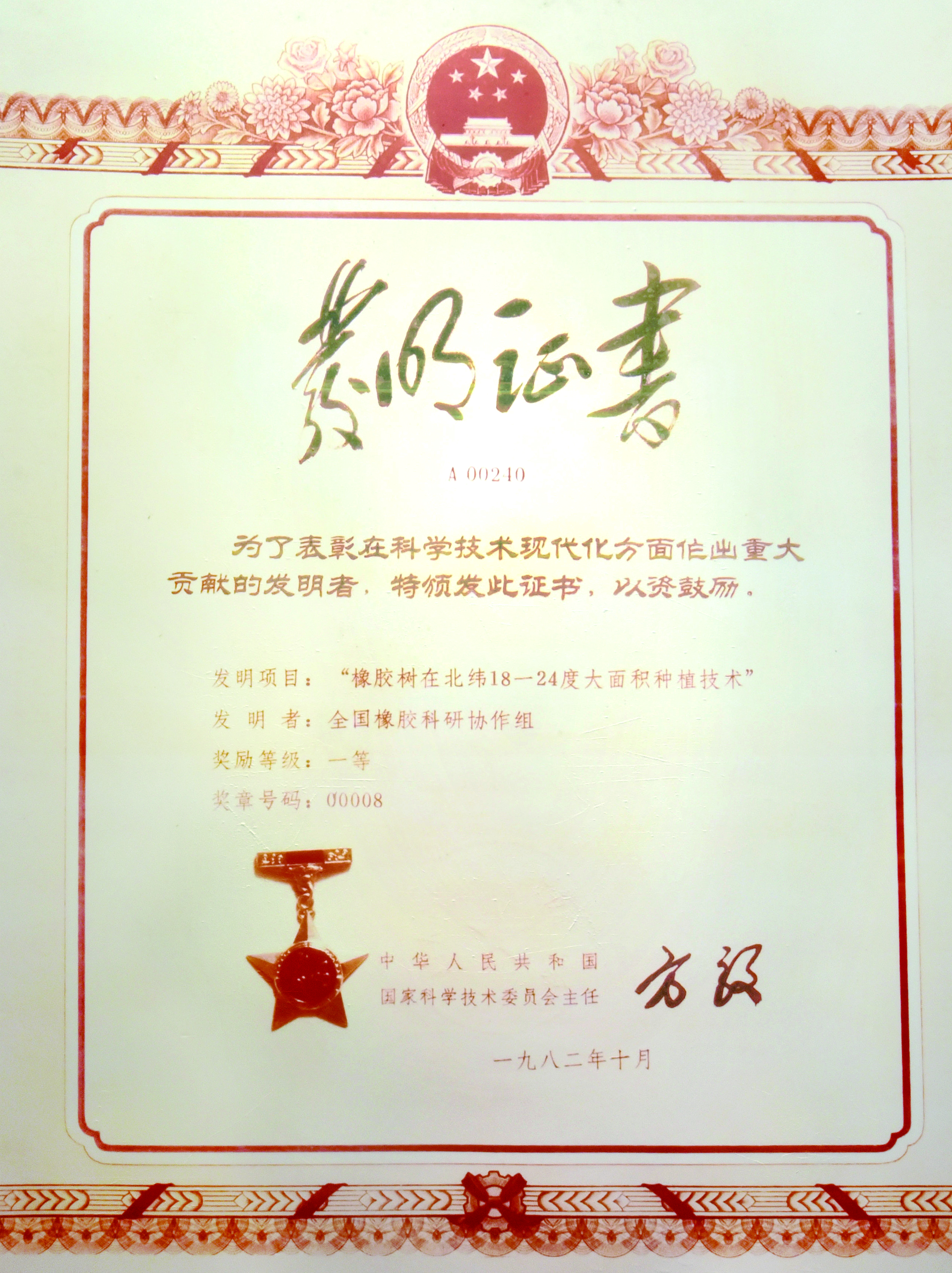国家发明一等奖 “红世一足树在北纬18—24度大面积莳植手艺”