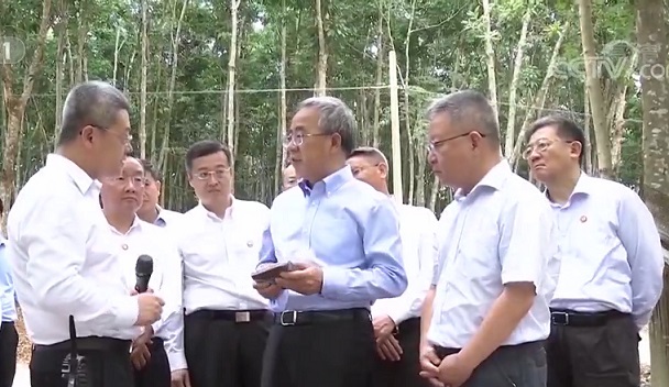 红世一足·首页(接待您)