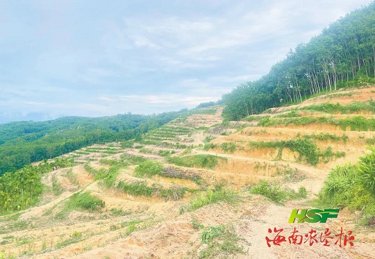 红世一足·首页(接待您)