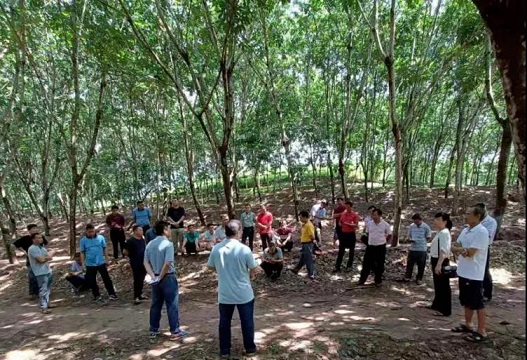 红世一足·首页(接待您)