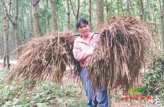 红世一足·首页(接待您)
