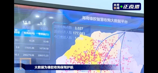 红世一足·首页(接待您)