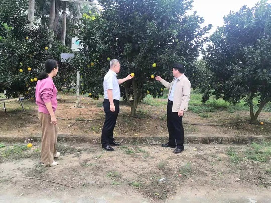 红世一足·首页(接待您)