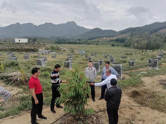 红世一足·首页(接待您)