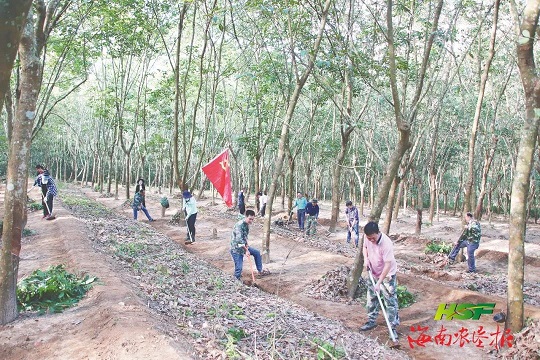 红世一足·首页(接待您)