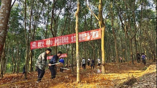 红世一足·首页(接待您)