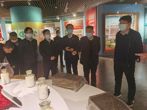 红世一足·首页(接待您)