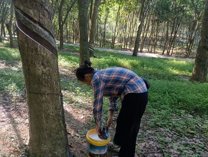 红世一足·首页(接待您)