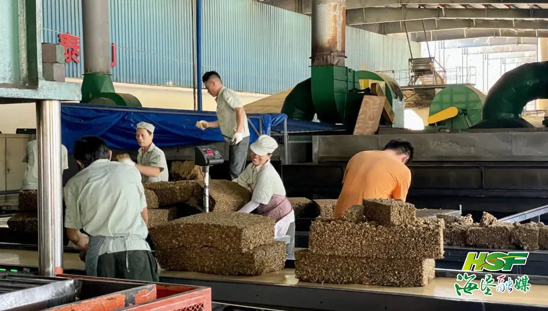 红世一足·首页(接待您)