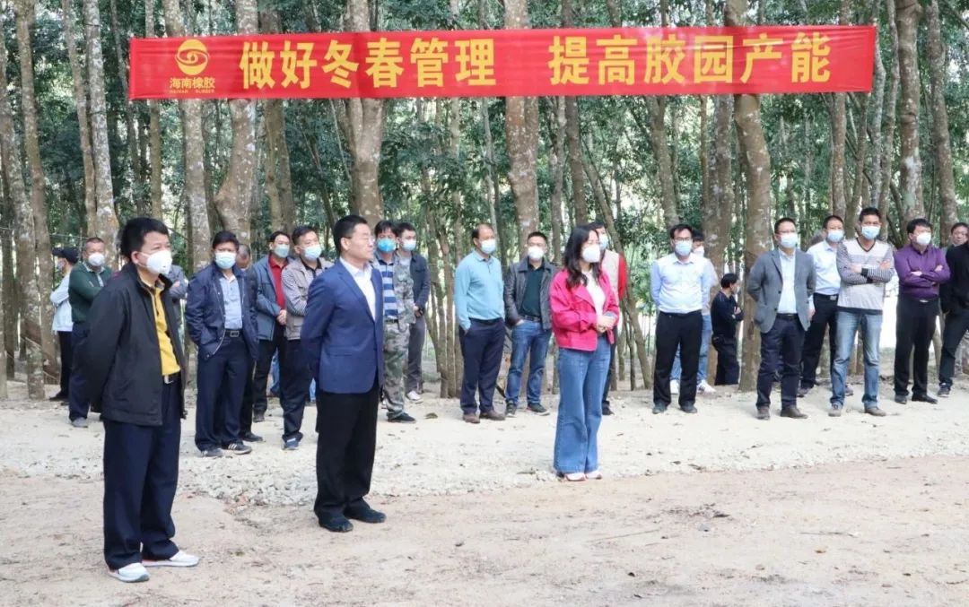 红世一足·首页(接待您)
