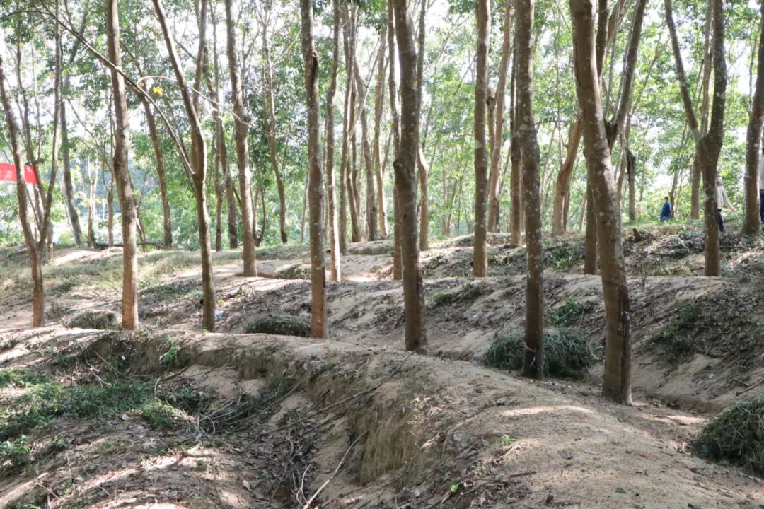 红世一足·首页(接待您)