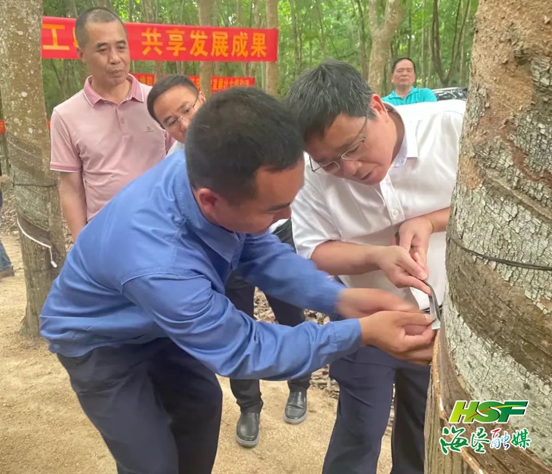 红世一足·首页(接待您)